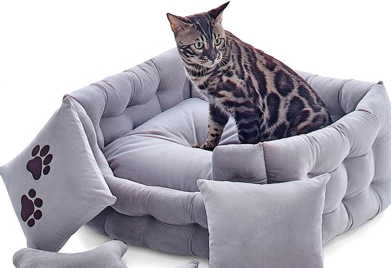 doggy-affairs-5-in-1-premium-cat-bed-set Doggy Affairs 5-in-1 Premium Handcrafted Cat Bed Set with velvet couch, cushions, and toys, offering ultimate luxury for cats.