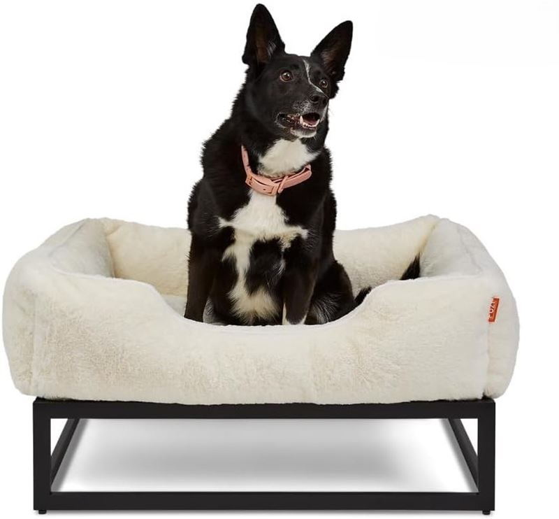 FUZI Luxury Dog Bed with elevated metal frame and plush cushions for medium to large dogs, offering comfort and style.