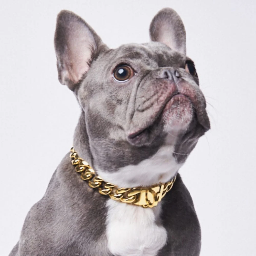 LuxLife Dog Chain Collar with cubic zirconia accents, offering both luxury and durability.