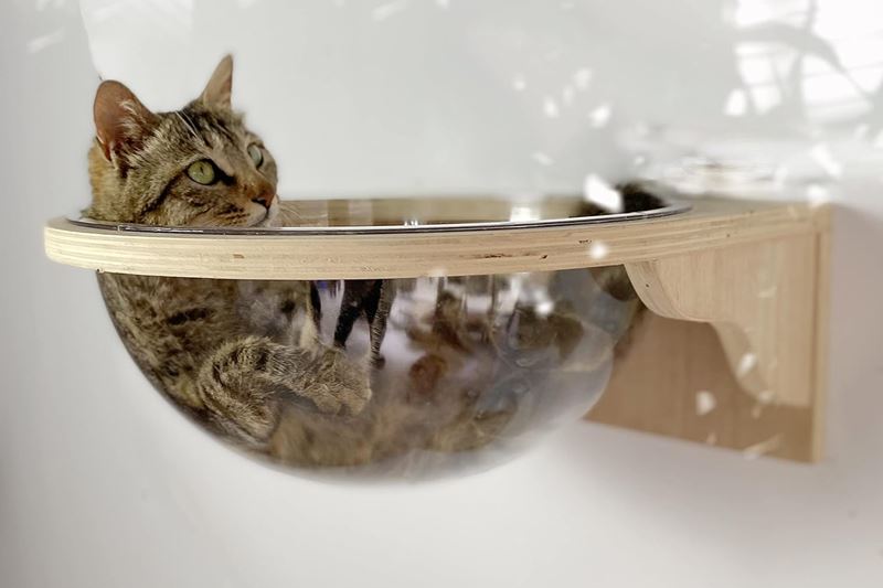 tinton-life-wall-mounted-capsule-cat-bed INTON LIFE Wall-Mounted Capsule Cat Bed – Space-saving, transparent acrylic design that offers a panoramic view for cats.
