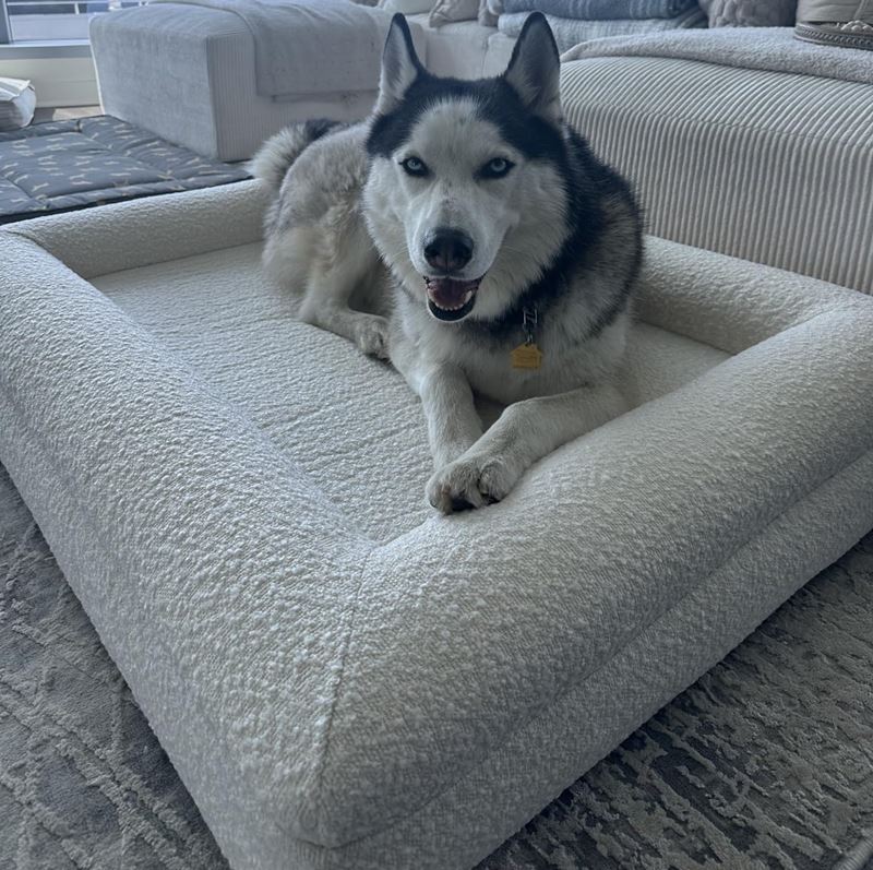 Wasatch Pup Luxury Boucle Fabric Orthopedic Dog Bed with high-density memory foam, perfect for joint care and relaxation.